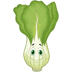 Bok Choy Classroom Vegetable Transparent Sticker